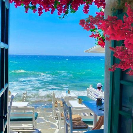 La Bouganville Λίντο ντι Όστια Εξωτερικό φωτογραφία