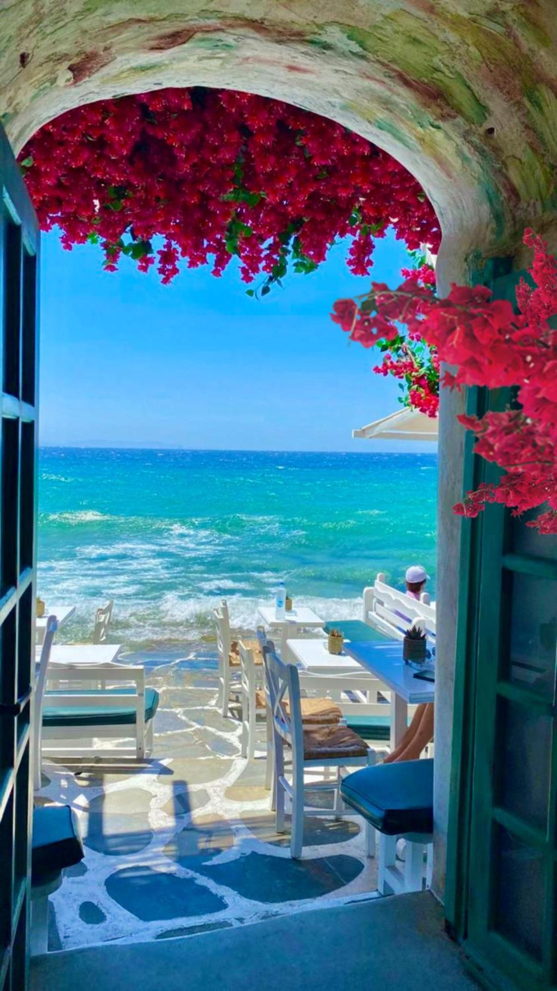 La Bouganville Λίντο ντι Όστια Εξωτερικό φωτογραφία